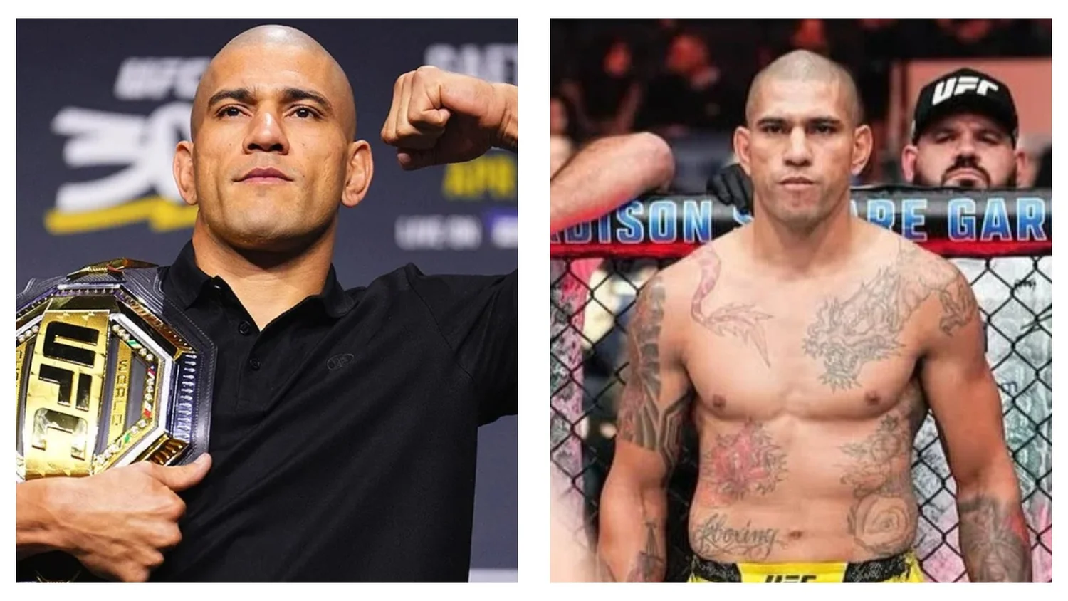 Alex Pereira en 2026 : la domination absolue des poids mi-lourds UFC